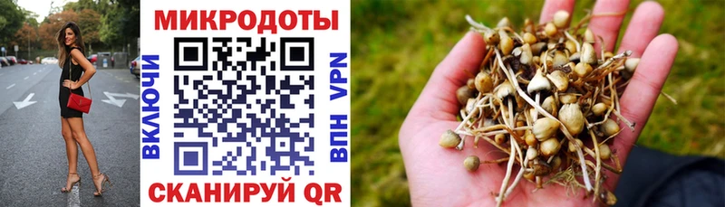 ссылка на мегу рабочий сайт  где купить наркоту  Кандалакша  Галлюциногенные грибы мухоморы 